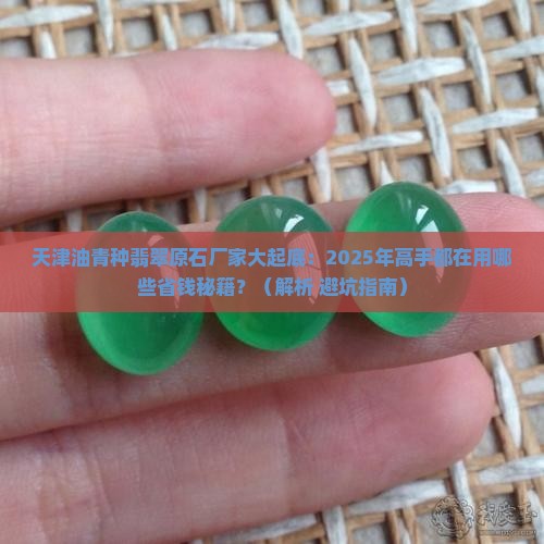 天津油青种翡翠原石厂家