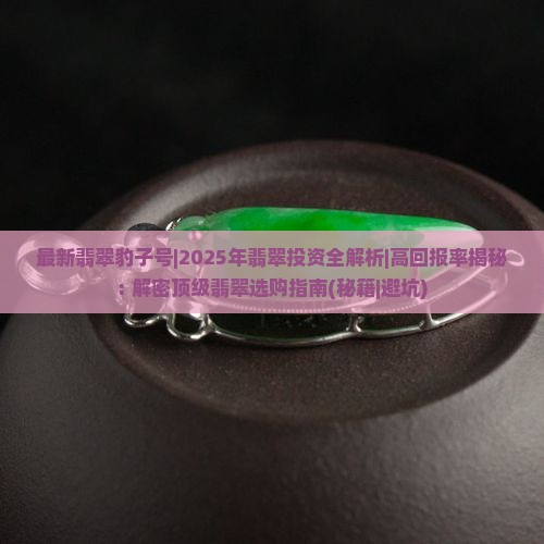 最新翡翠豹子号
