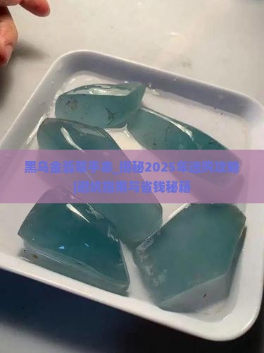黑乌金翡翠手串