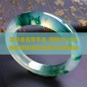 黑乌金翡翠手串
