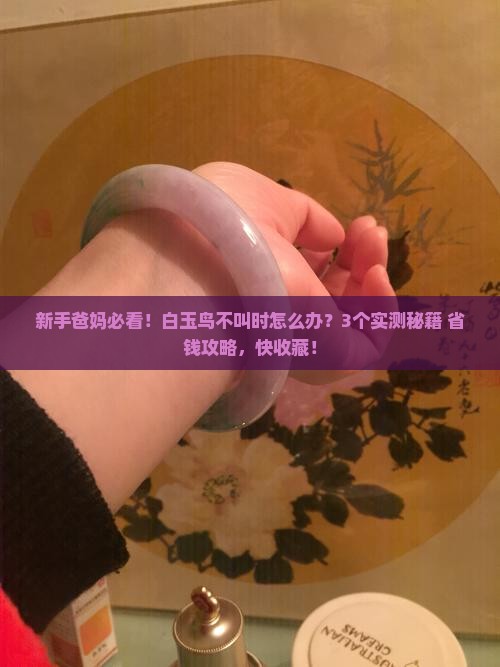 白玉鸟不叫时怎样办