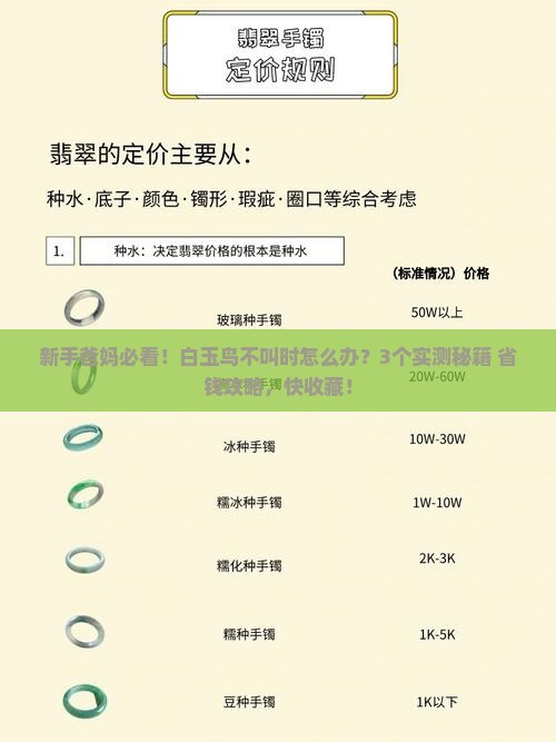 白玉鸟不叫时怎样办