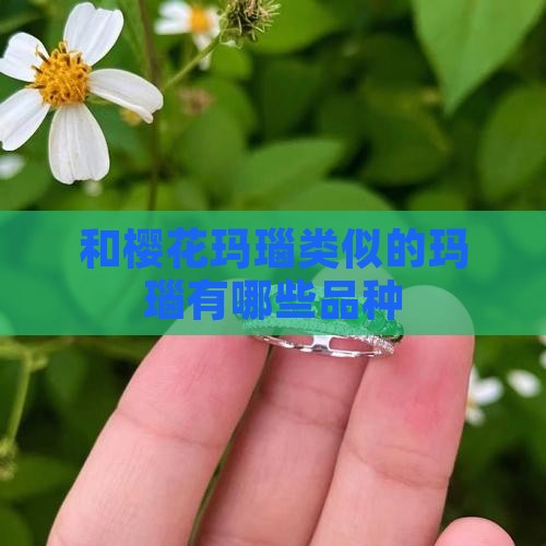 和樱花玛瑙类似的玉石有哪些品种