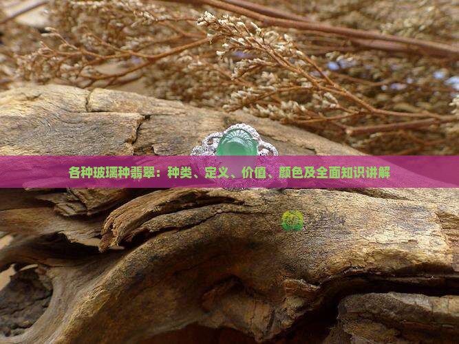 各种玻璃种翡翠