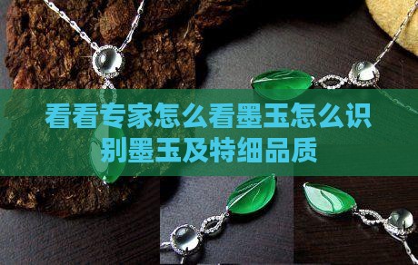 看看专家怎么看墨玉