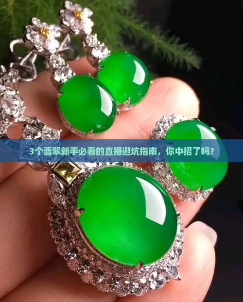 倾心翡翠直播