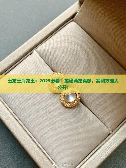 玉龙王海龙王