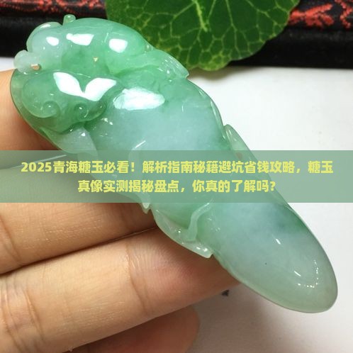 青海糖玉介绍