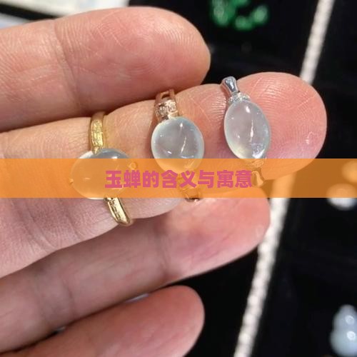 玉上刻蝉含义