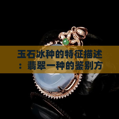 玉石冰种的特征描述