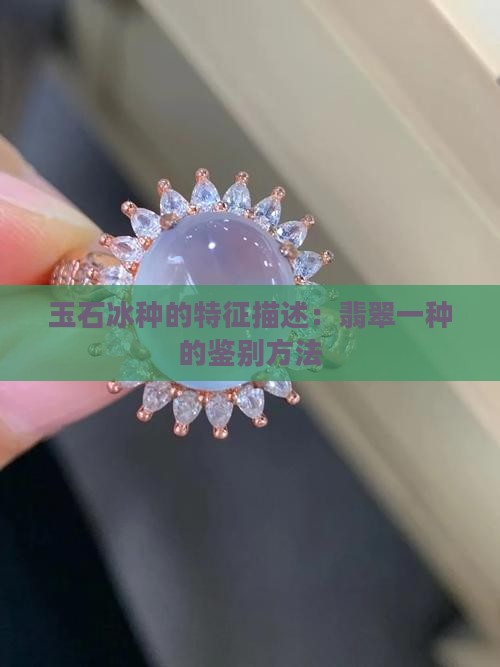 玉石冰种的特征描述