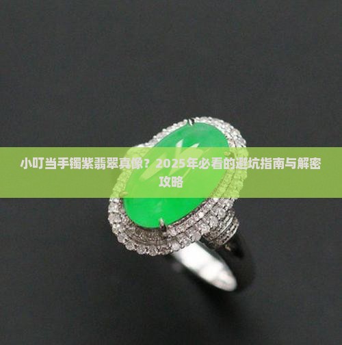 小叮当手镯紫翡翠