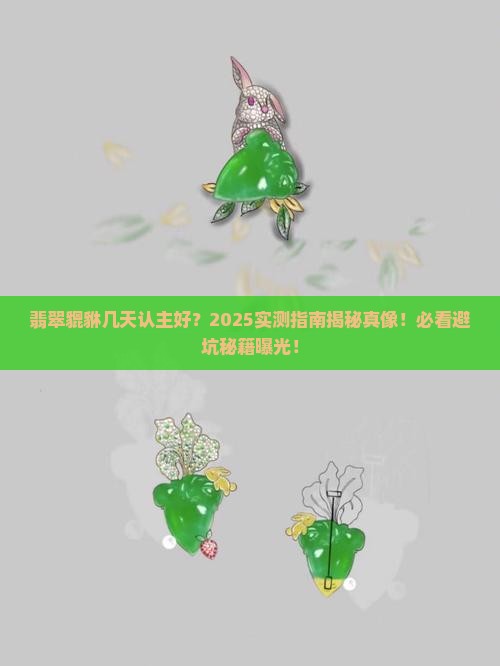 翡翠貔貅几天认主好