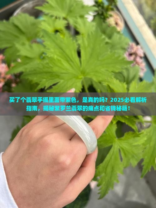 买了个翡翠手镯里面带紫色 买了个翡翠手镯里面带紫色