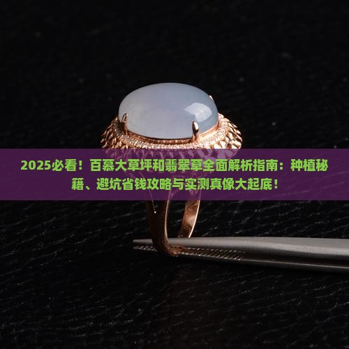 百慕大草坪和翡翠草