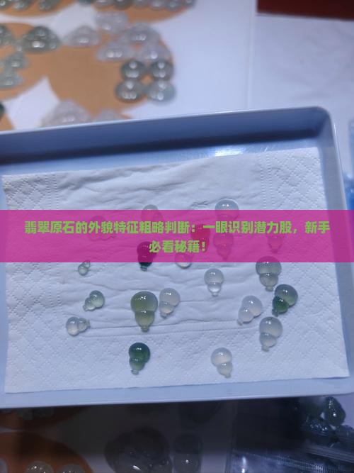 翡翠原石的外貌特征粗略判断