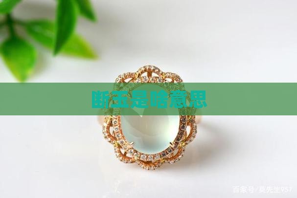 断玉是啥意思