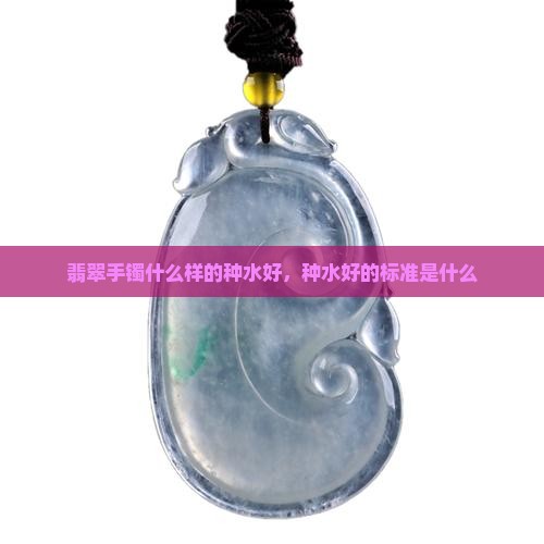 翡翠手镯什么样的种水好