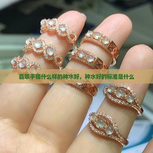 翡翠手镯什么样的种水好