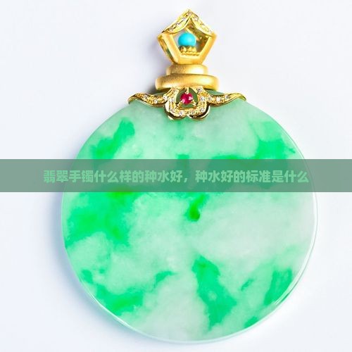 翡翠手镯什么样的种水好