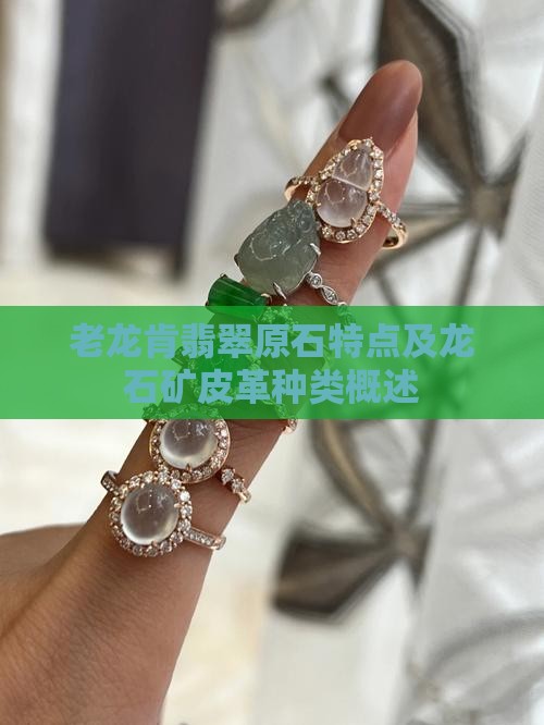 老龙肯翡翠原石特点及龙石矿皮革种类概述