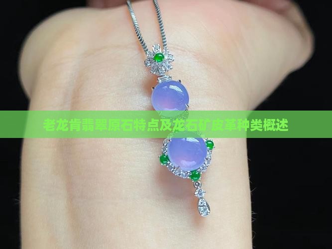 老龙肯翡翠原石特点及龙石矿皮革种类概述