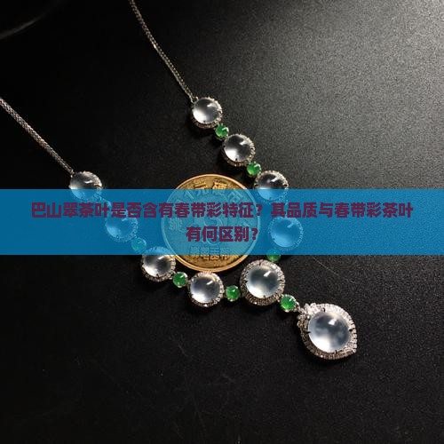 巴山翠茶叶是否含有春带彩特征？其品质与春带彩茶叶有何区别？