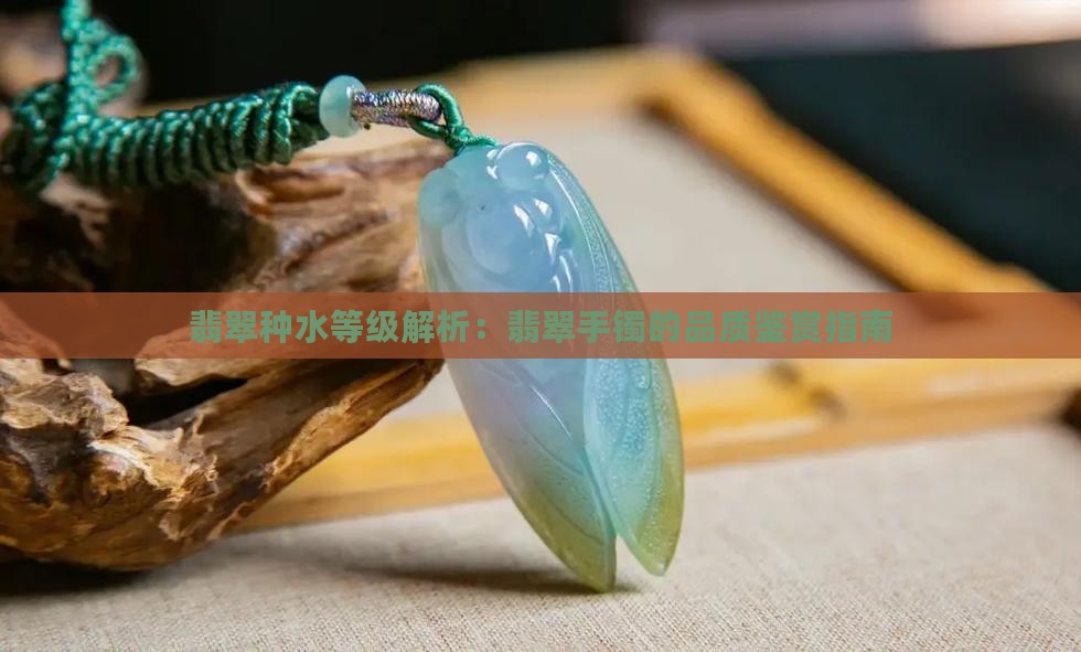 翡翠种水等级解析：翡翠手镯的品质鉴赏指南