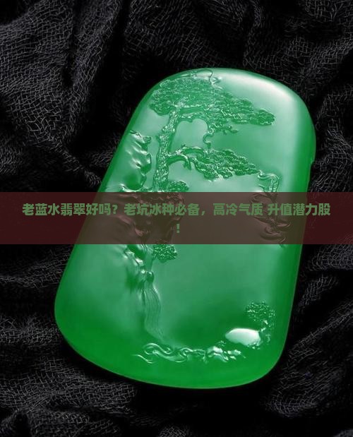 老蓝水翡翠好吗？老坑冰种必备，高冷气质+升值潜力股！