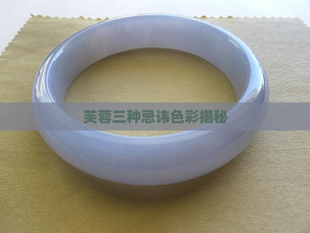 芙蓉三种忌讳色彩揭秘