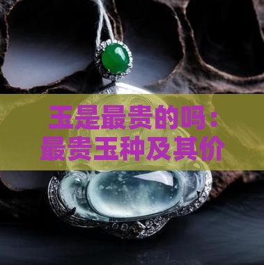 玉是最贵的吗：最贵玉种及其价格是多少