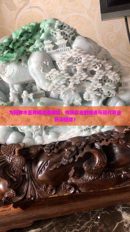为何种水豆种植遭遇困境：传统农业的痛点与现代农业热词碰撞？