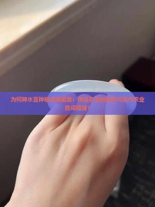 为何种水豆种植遭遇困境：传统农业的痛点与现代农业热词碰撞？