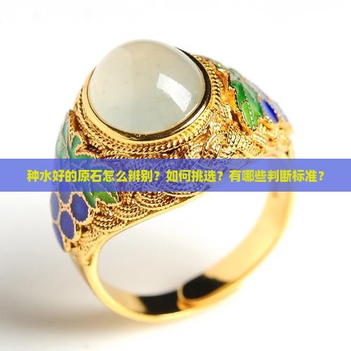 种水好的原石怎么辨别？如何挑选？有哪些判断标准？