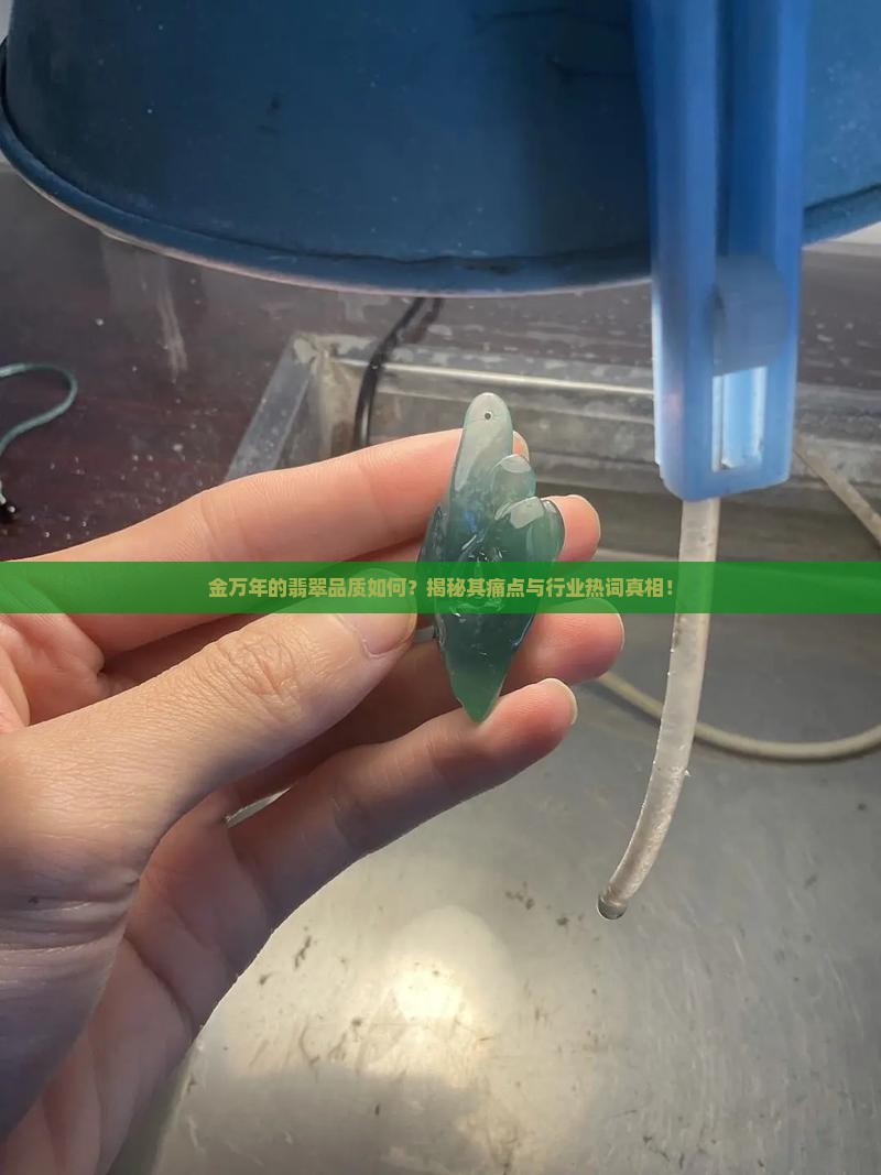 金万年的翡翠品质如何？揭秘其痛点与行业热词真相！