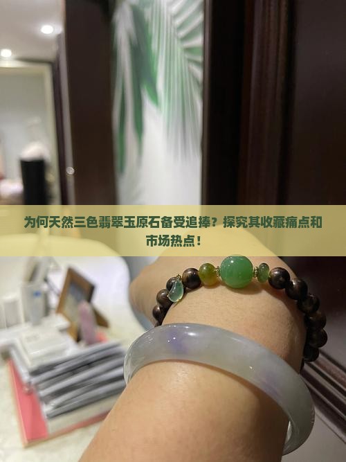 为何天然三色翡翠玉原石备受追捧？探究其收藏痛点和市场热点！