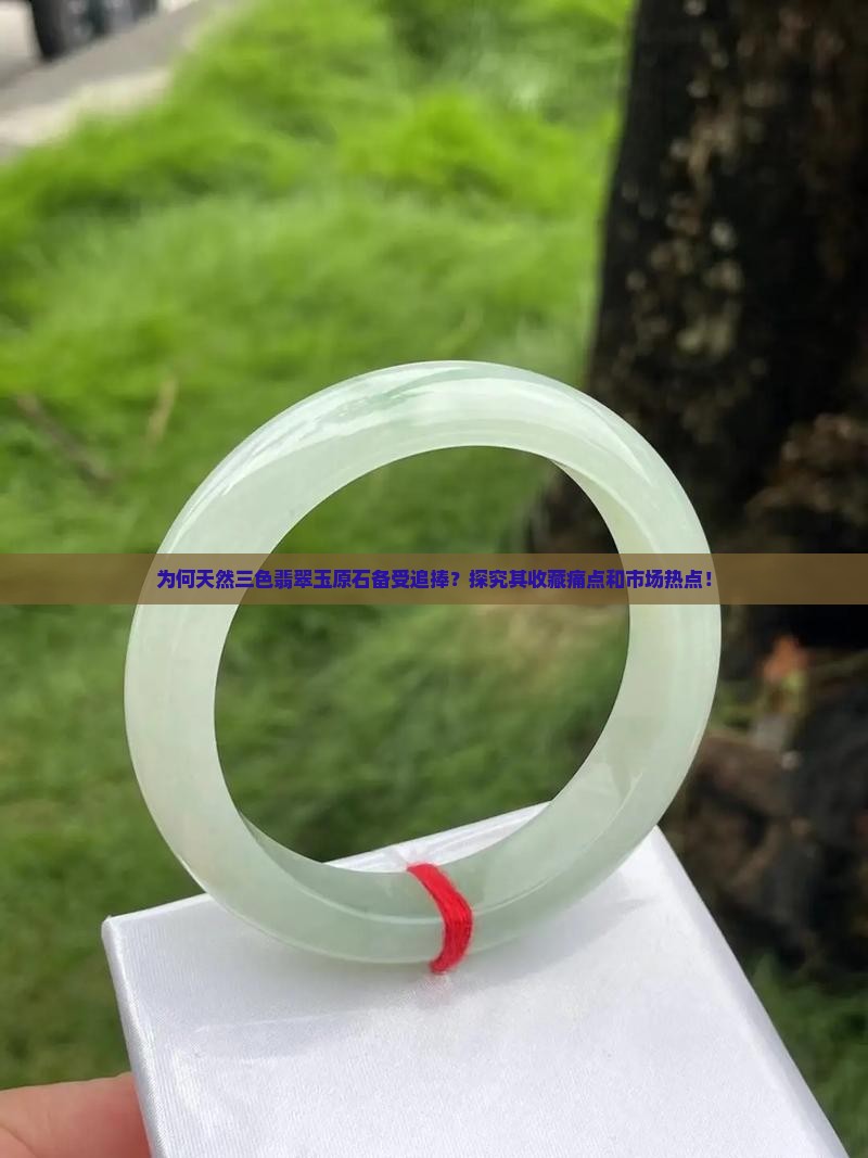 为何天然三色翡翠玉原石备受追捧？探究其收藏痛点和市场热点！