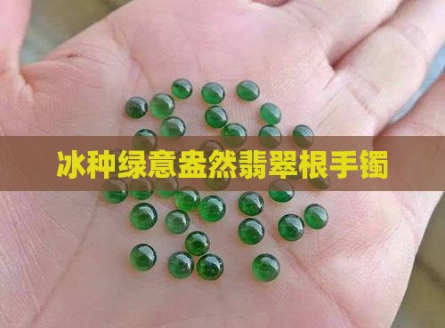 冰种绿意盎然翡翠根手镯