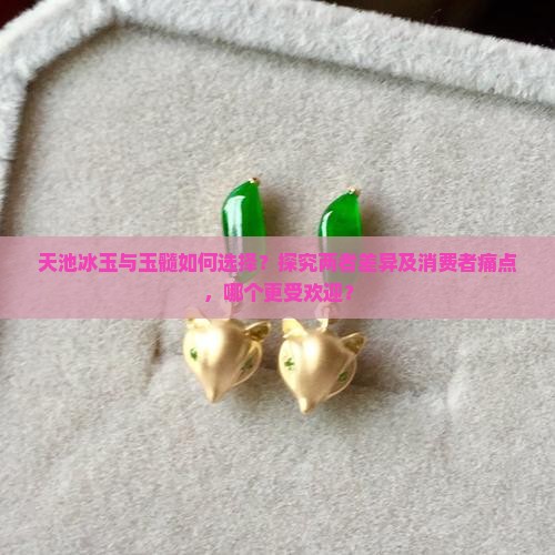 天池冰玉与玉髓如何选择？探究两者差异及消费者痛点，哪个更受欢迎？