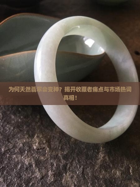为何天然翡翠会变种？揭开收藏者痛点与市场热词真相！