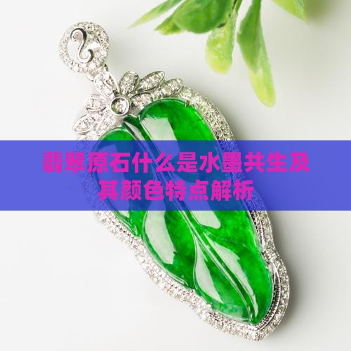 翡翠原石什么是水墨共生及其颜色特点解析