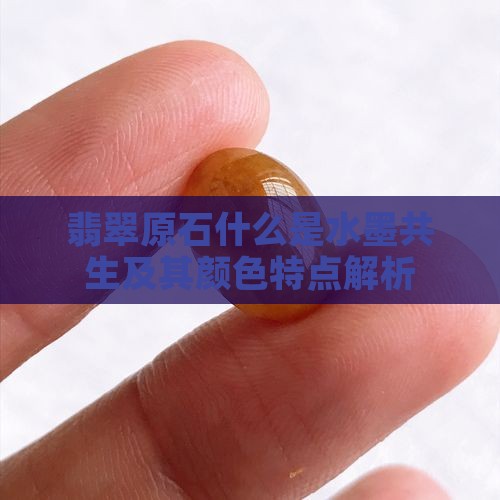 翡翠原石什么是水墨共生及其颜色特点解析
