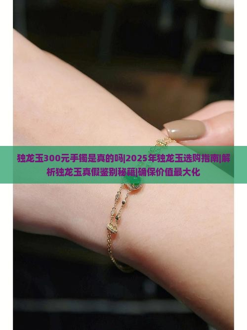 独龙玉300元手镯是真的吗