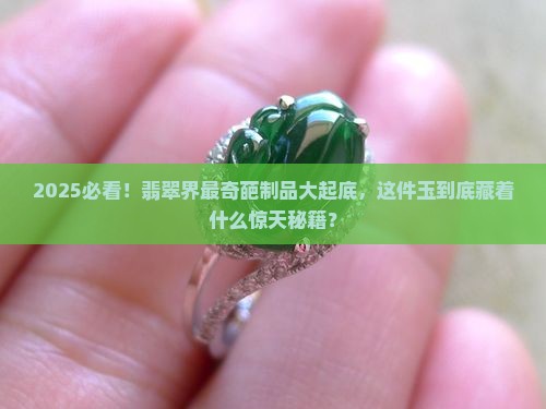 最奇葩翡翠制品是什么玉