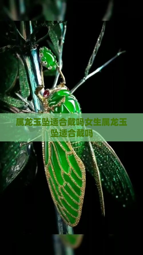 属龙玉坠适合戴吗