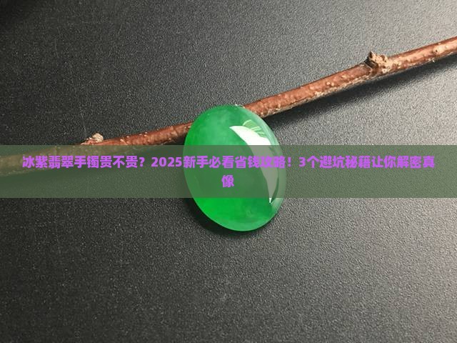 冰紫翡翠手镯贵吗值钱吗