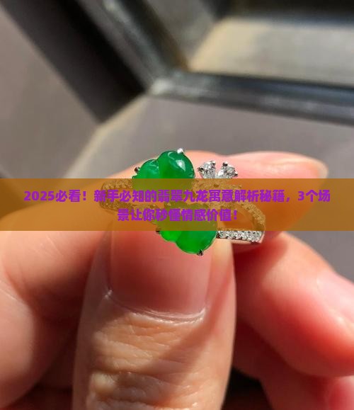 翡翠九龙寓意什么意思