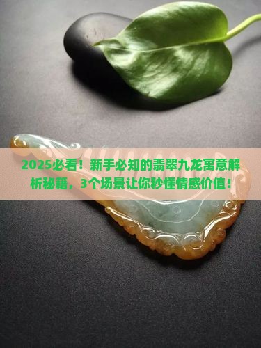 翡翠九龙寓意什么意思