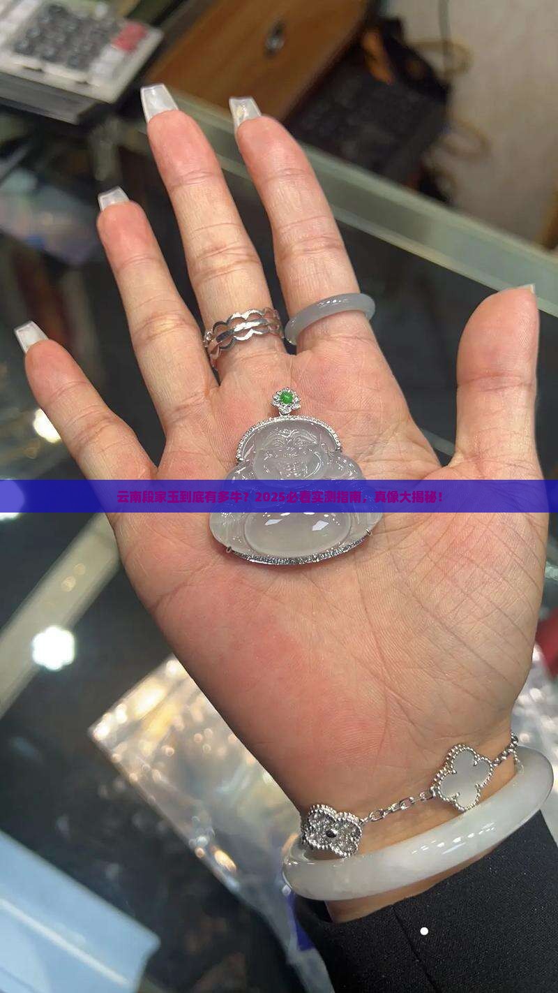 云南段家玉怎么样