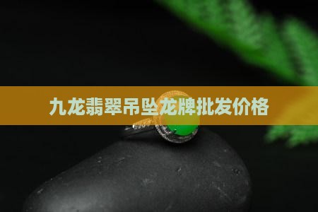 九龙翡翠吊牌多少钱